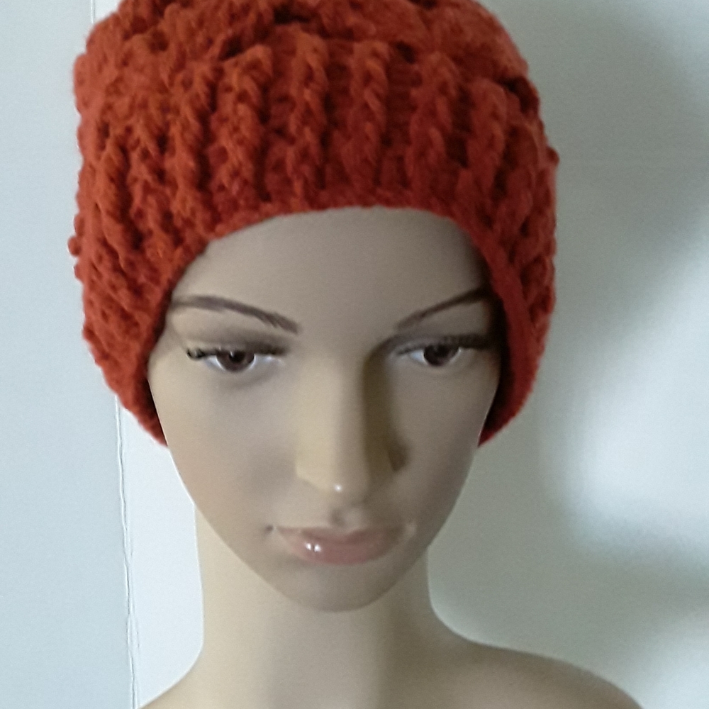 Darling Winter Hat (NWOT)